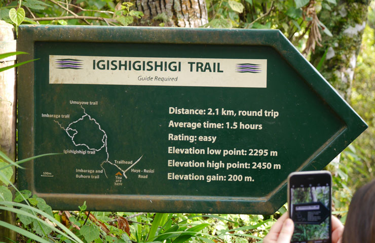 Igishigishigi Trail