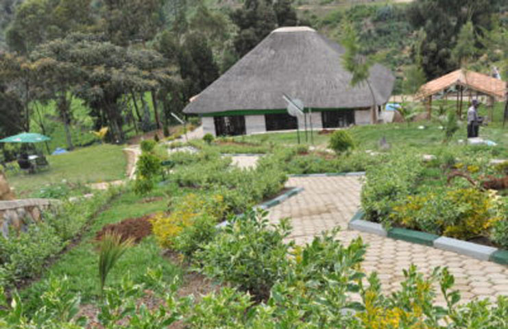 Nyungwe Nziza Eco lodge Nyungwe Nziza Eco lodge